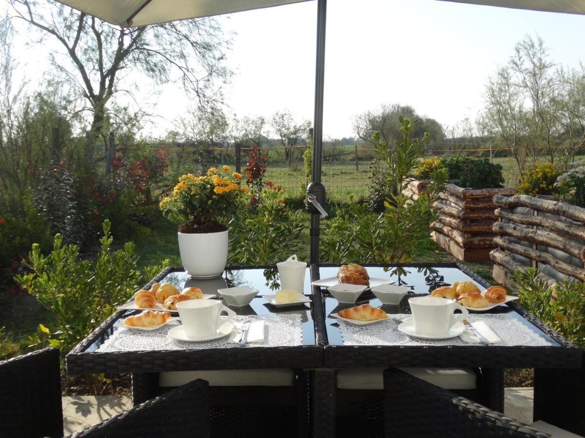 Marines Bed & Breakfast Aigues-Mortes